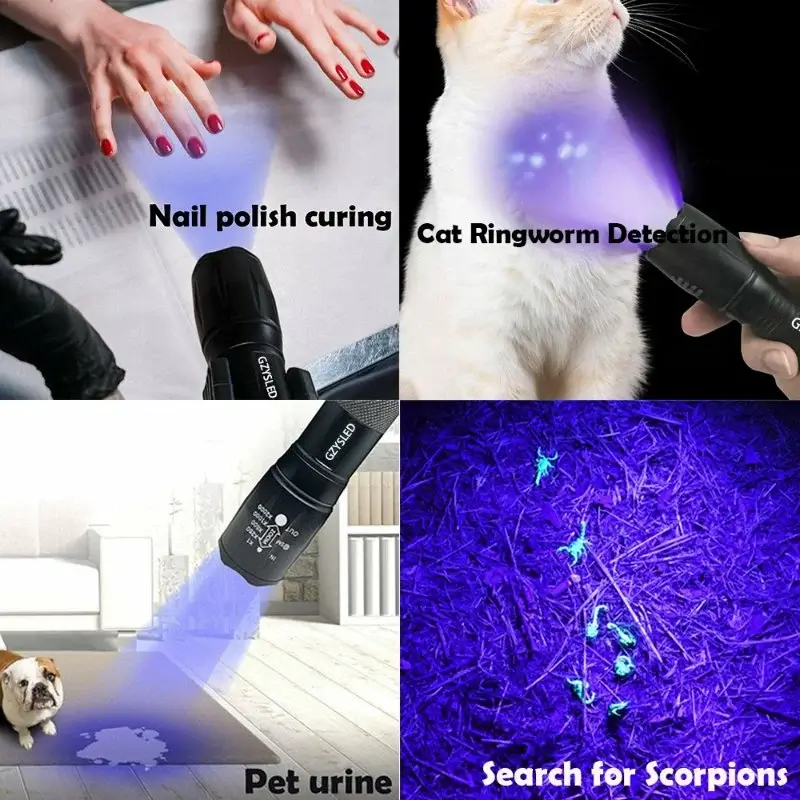 downLoadImg 6 jpg